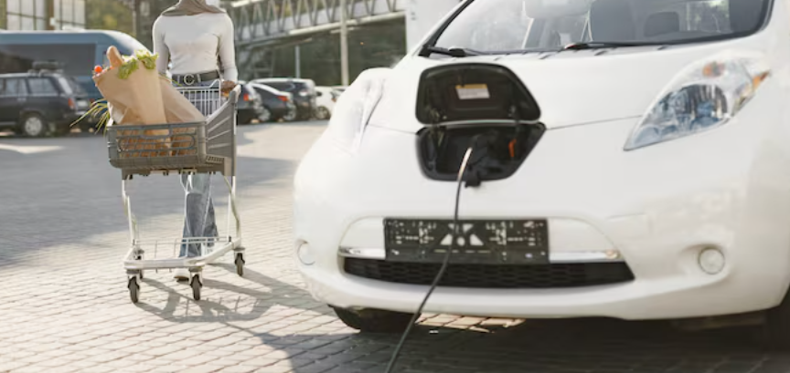 electric cargo vehicle india