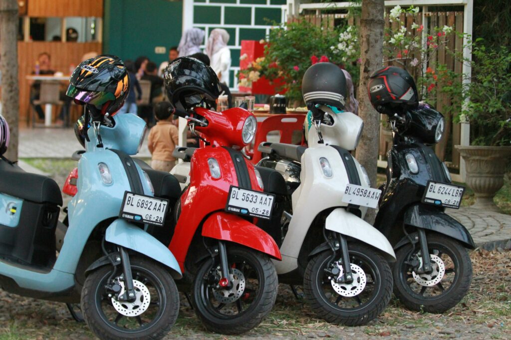 Ekotejas Electric Bike Price